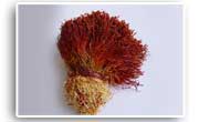 Saffron- punch (daste) - Iran Medical Herb Exporter